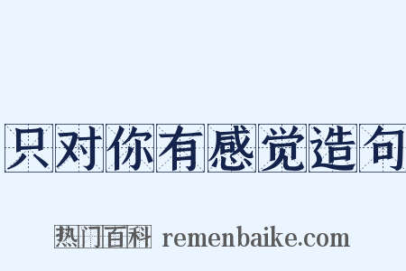 只对你有感觉造句是什么意思的图片